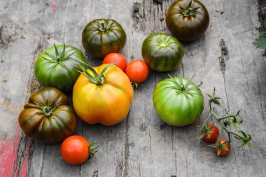 Taze olgun ve yeşil domatesler, farklı çeşitlerde, yeni toplanmış. Gıda arkaplanı