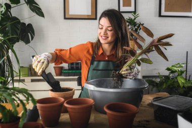 Mutlu genç bir kadın evindeki bahçesinde vakit geçirmekten zevk alır. Kışın ve ilkbaharın başlarında tohum yetiştiren bitkiler