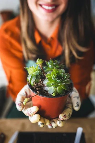 Woman Taking Care Plants Her Home Smiling Young Woman Holding — Stock Photo, Image
