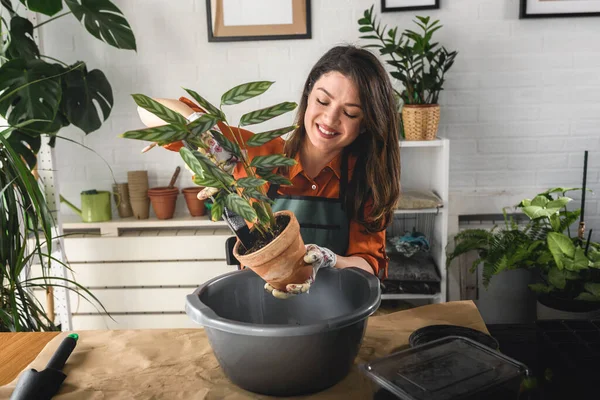 Happy Young Woman Enjoys Time Her Home Garden Seed Starting — Stock Photo, Image