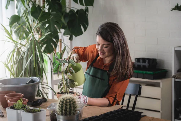 Woman Taking Care Plants Her Home — Stock Photo, Image