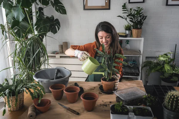 Mulher Cuidando Plantas Sua Casa — Fotografia de Stock
