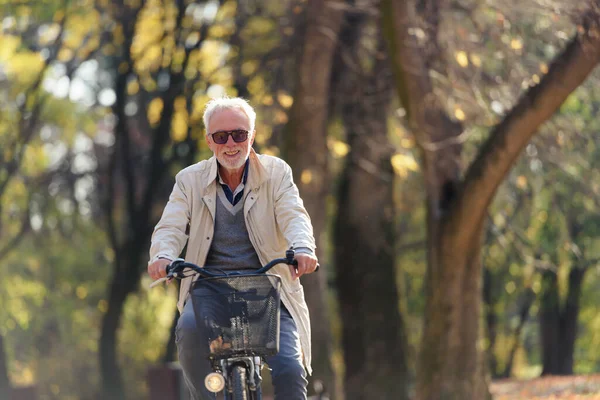 Cheerful elderly man riding bicycle in public park. Activities for older people