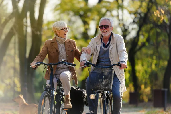 Fröhlich Aktives Seniorenpaar Mit Fahrrädern Öffentlichen Park Beim Gemeinsamen Spaß — Stockfoto