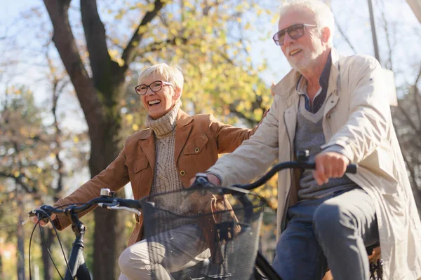 Wesoła Aktywna Para Seniorów Rowerami Parku Publicznym Doskonałe Zajęcia Dla — Zdjęcie stockowe