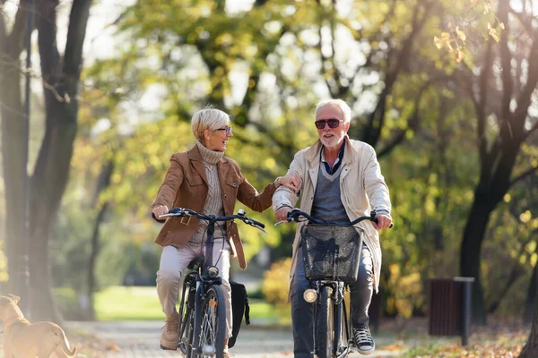 Vrolijk Actief Seniorenpaar Met Fietsen Openbaar Park Samen Plezier Hebben — Stockfoto