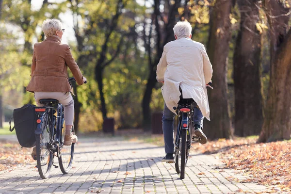 Χαρούμενο Ενεργό Ζευγάρι Ηλικιωμένων Ποδήλατα Στο Δημόσιο Πάρκο Μαζί Διασκεδάζοντας — Φωτογραφία Αρχείου