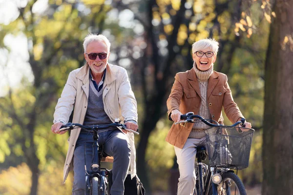 快乐活泼的一对老夫妇 在公园里骑着自行车 在一起玩得很开心 老年人的完美活动 一对成熟的夫妇在公园里骑自行车快乐 — 图库照片