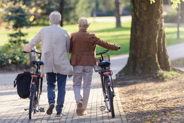 공원에서 자전거를 즐거운 시간을 보내고 부부가 즐거운 시간을 보냅니다 노인들을 — 스톡 사진