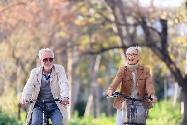 Joyeux Couple Personnes Âgées Actives Avec Des Vélos Dans Parc — Photo