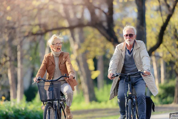 公共公園で自転車と陽気なアクティブなシニアカップルが一緒に楽しみを持っています 高齢者のための完璧な活動 公園で幸せな成熟したカップル乗馬自転車 — ストック写真