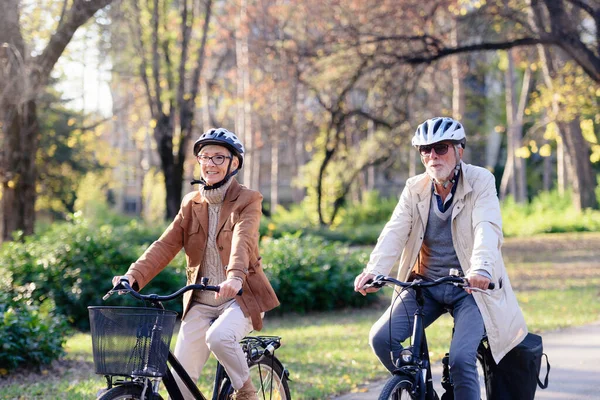공원에서 자전거를 즐거운 시간을 보내고 부부가 즐거운 시간을 보냅니다 노인들을 — 스톡 사진
