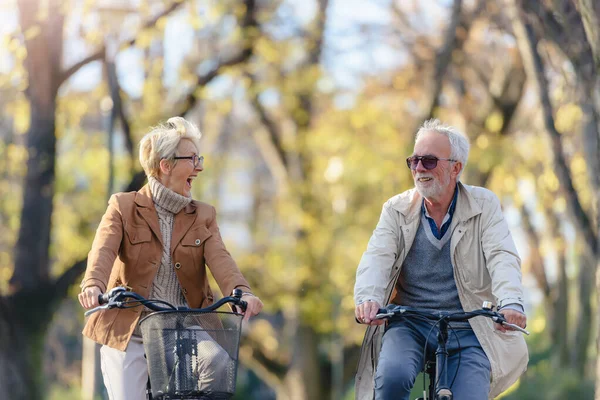 公共公園で自転車と陽気なアクティブなシニアカップルが一緒に楽しみを持っています 高齢者のための完璧な活動 公園で幸せな成熟したカップル乗馬自転車 — ストック写真