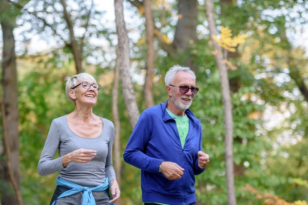 Vidám Aktív Idősek Kocognak Parkban Gyakorlat Együtt Megállítani Öregedés — Stock Fotó