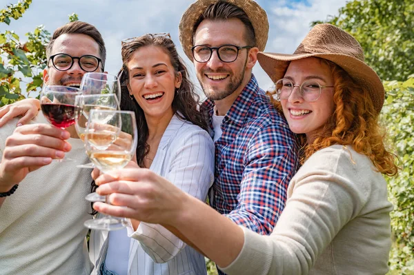 stock image happy friends drinking wine at vineyard