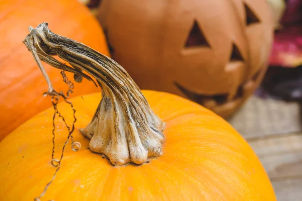 Halloween Herbst Grußkarte Mit Bunten Blättern Kürbissen Und Laterne Orange — Stockfoto
