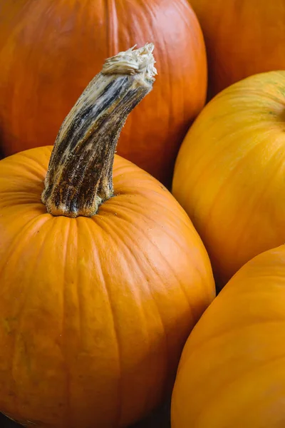カボチャのケーキ ハロウィーンの装飾のために準備ができているオレンジ色のカボチャの多く 秋の背景 — ストック写真
