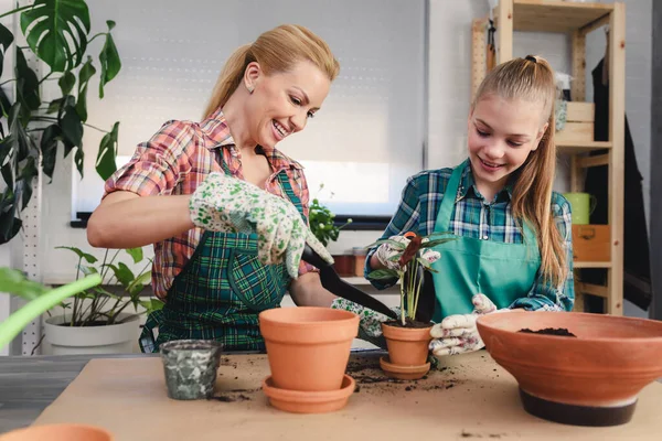 Mother Her Daughter Planting Plants Greenhouse — Stock Photo, Image