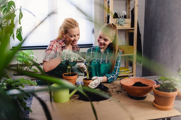 Mamma Och Hennes Dotter Planterar Växter Växthuset — Stockfoto