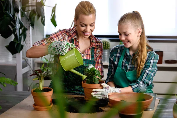 Mamma Och Hennes Dotter Planterar Växter Växthuset — Stockfoto