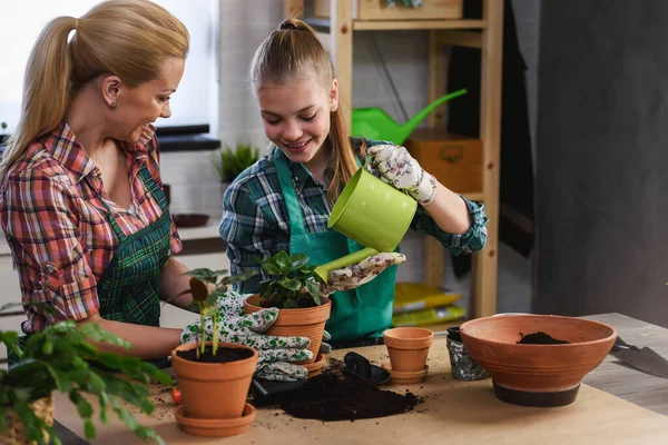 Anne Kızı Serada Bitki Yetiştiriyorlar — Stok fotoğraf