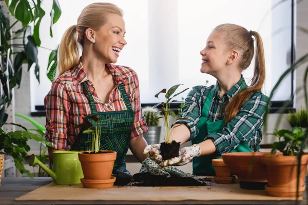 Mother Her Daughter Planting Plants Greenhouse — Stock Photo, Image