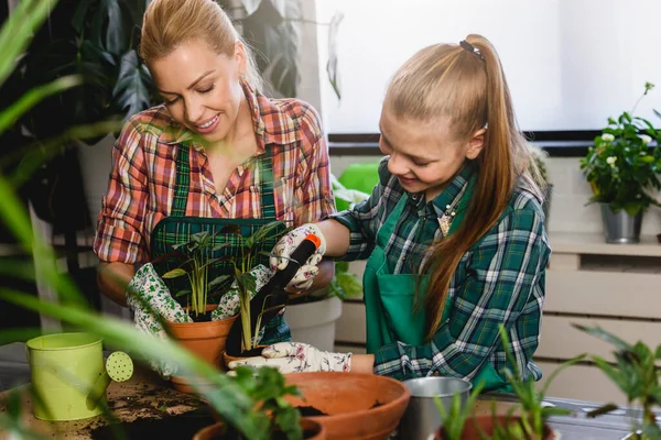 Anne Kızı Serada Bitki Yetiştiriyorlar — Stok fotoğraf