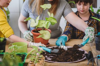 Serada çiçek eken çocuklu bir anne.