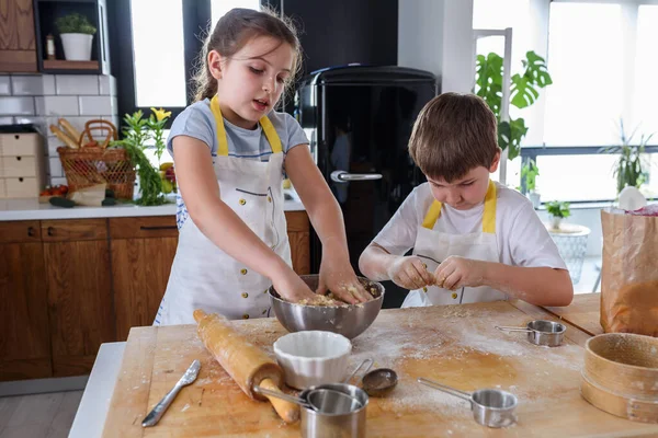 Modern Mutfakta Aile Yemekleri — Stok fotoğraf