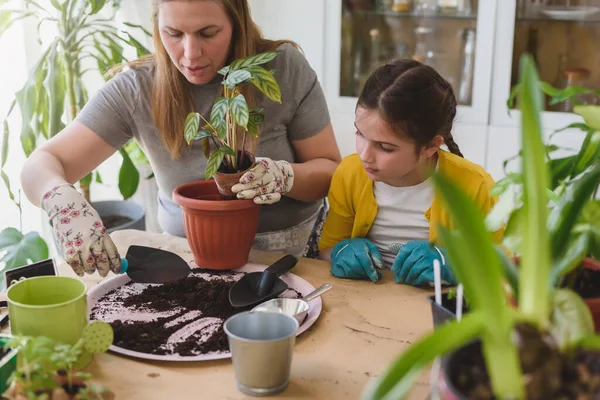 Ung Kvinna Och Hennes Dotter Plantera Växt Växthus — Stockfoto