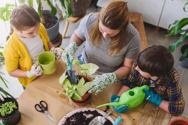 Mother Kids Greenhouse Planting Flowers — Stock Photo, Image