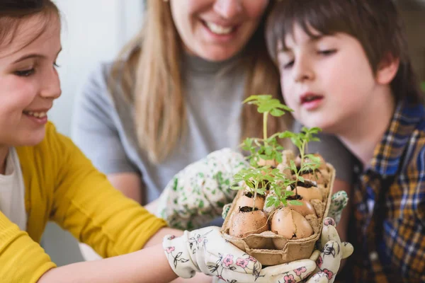Moeder Met Kinderen Kas Planten Bloemen — Stockfoto