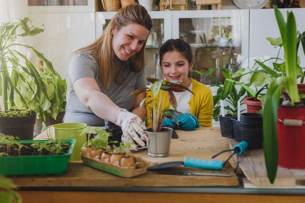 Young Woman Her Daughter Planting Plant Greenhouse — Stock Photo, Image