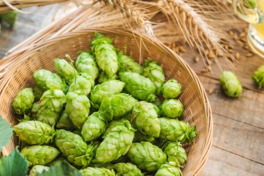 Ekim Festivali bira festivali arka planı. Malt and Hopps bira imalatı arka planda kopyalama alanı.