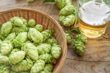 yeşil zıplama konileri ve tahta arka planda bir bardak bira. 