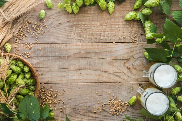 Зеленый Хмель Кружки Зерна Пива — стоковое фото
