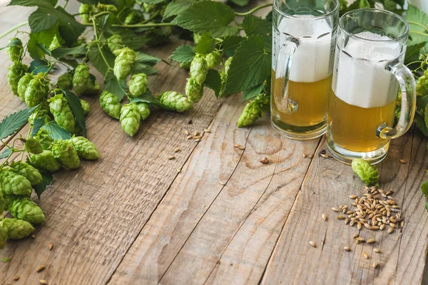 Green Hops Grain Beer Mugs — Stock Photo, Image