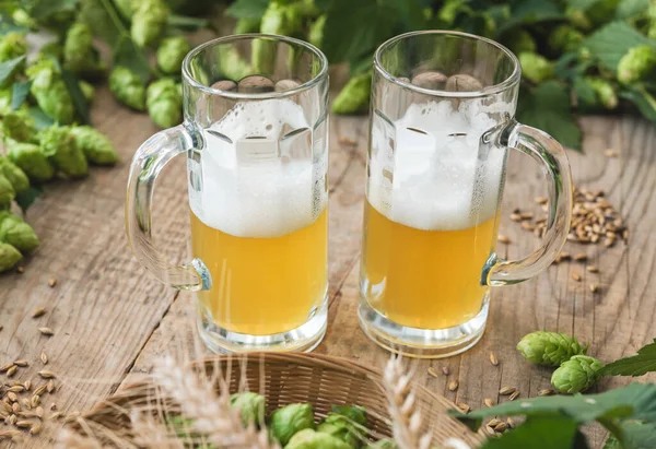 新鮮な緑のホップとビールのマグカップ — ストック写真