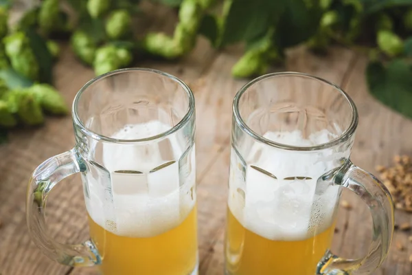 新鮮な緑のホップとビールのマグカップ — ストック写真
