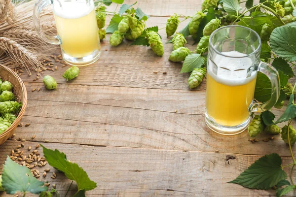Lúpulo Verde Fresco Canecas Com Cerveja — Fotografia de Stock