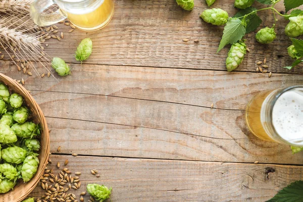 fresh green hops and mugs with beer