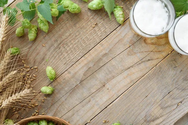 Fresh Green Hops Mugs Beer — Stock Photo, Image