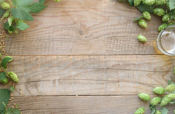 Zelené Chmelové Šišky Sklenice Piva Dřevěném Pozadí — Stock fotografie
