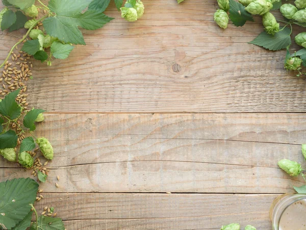 Wiesn Bier Hintergrund Malz Und Hopfen Craft Bier Brauerei Hintergrund — Stockfoto