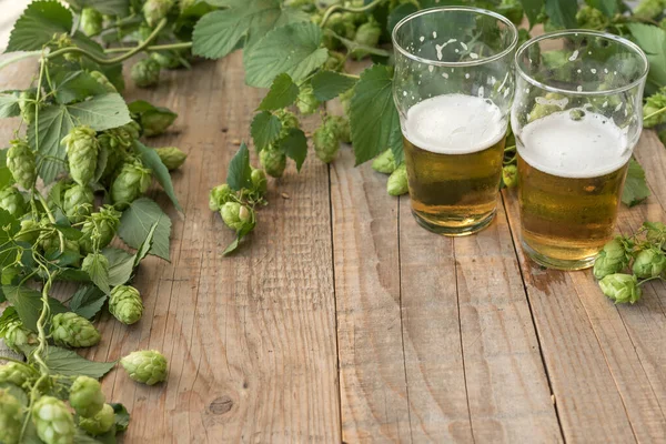 Fresh Green Hops Glasses Beer Wooden Background — Stock Photo, Image
