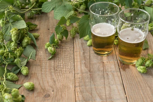 Frischer Grüner Hopfen Mit Biergläsern Auf Holzgrund — Stockfoto