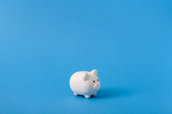 White Piggy Bank Blue Color Background Saving Money Accumulation Investment — Stock Photo, Image