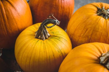 Sonbahar hasat balkabakları kapanıyor