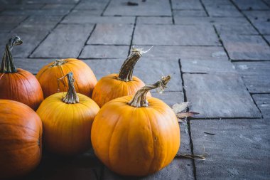 Sonbahar hasat balkabakları kapanıyor