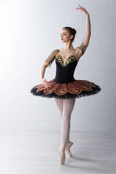 beautiful ballerina in ballet studio